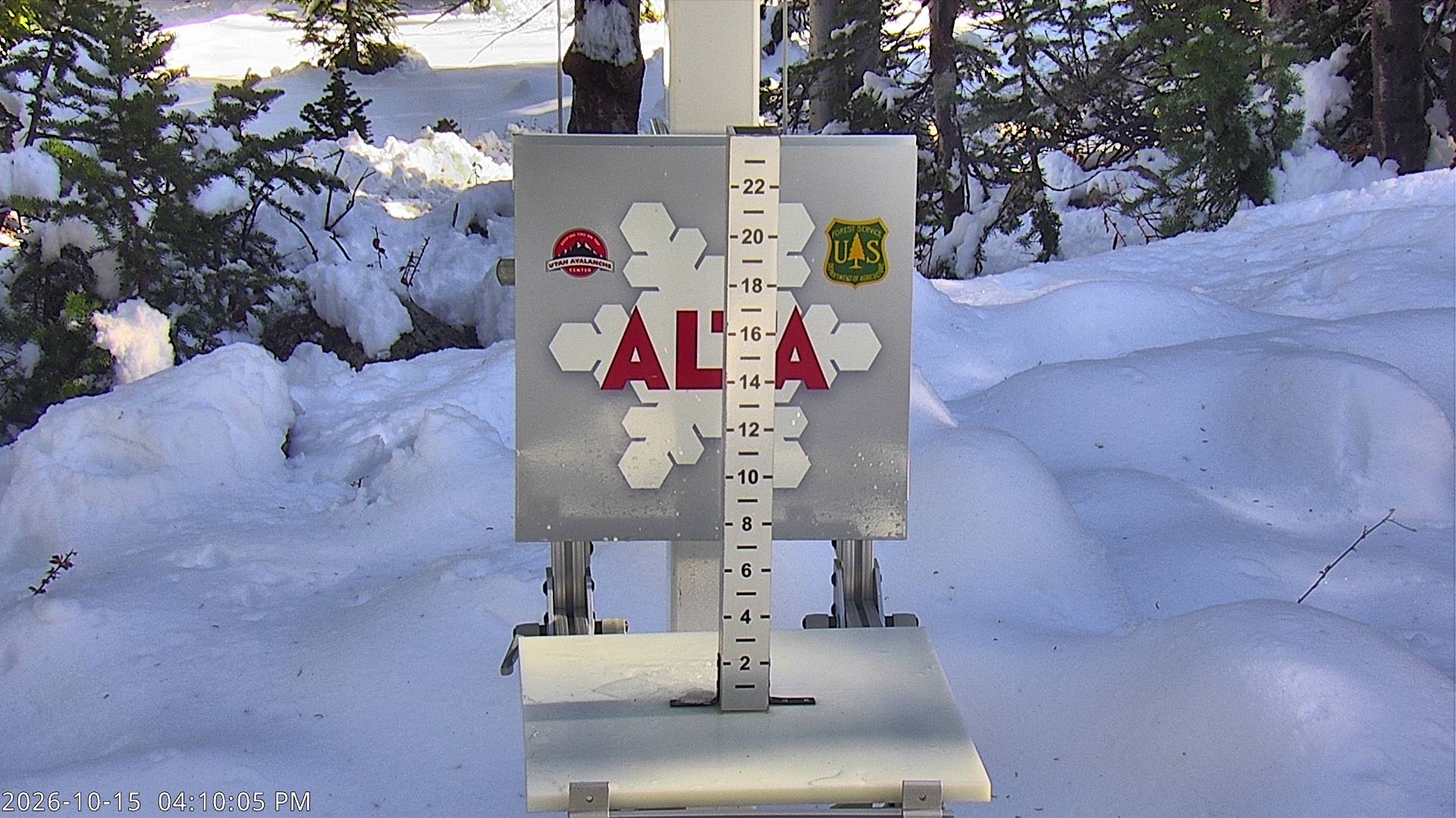 Alta snow stake