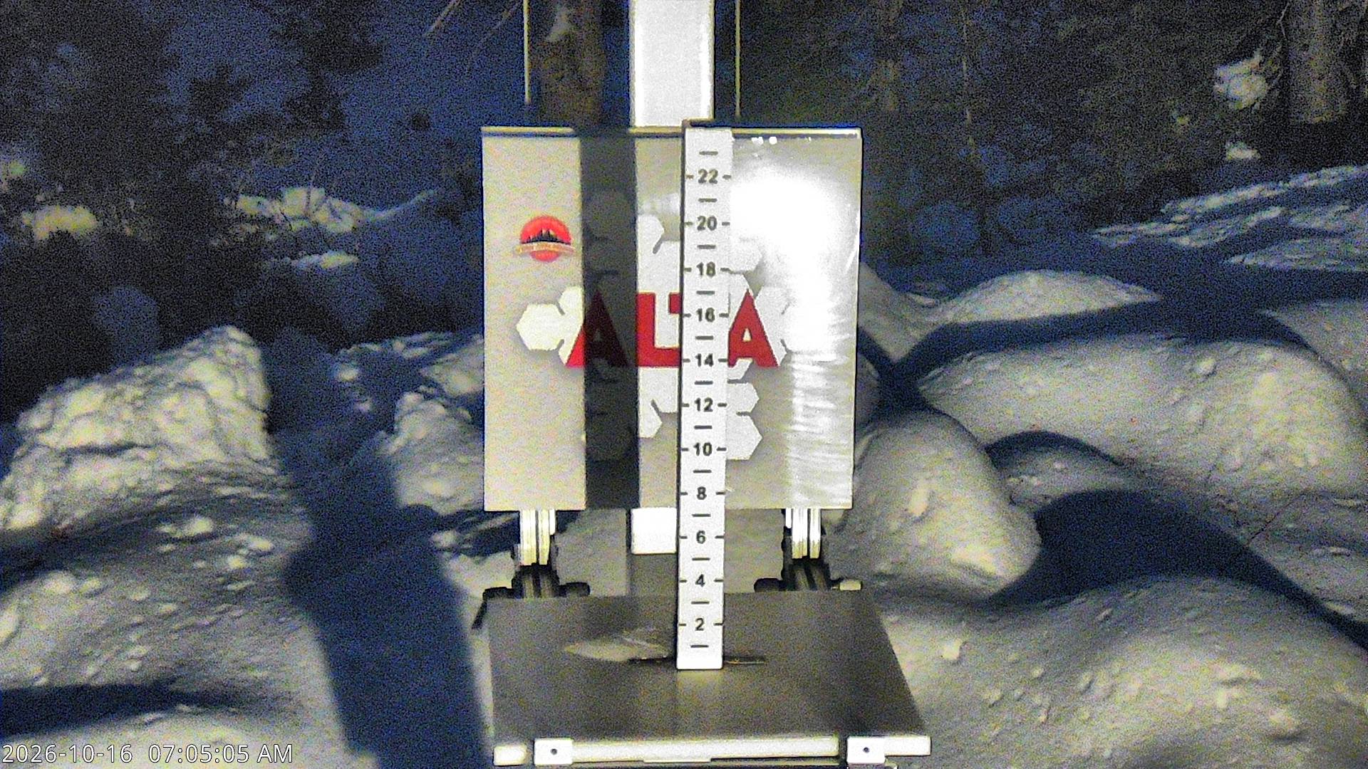 Alta snow stake