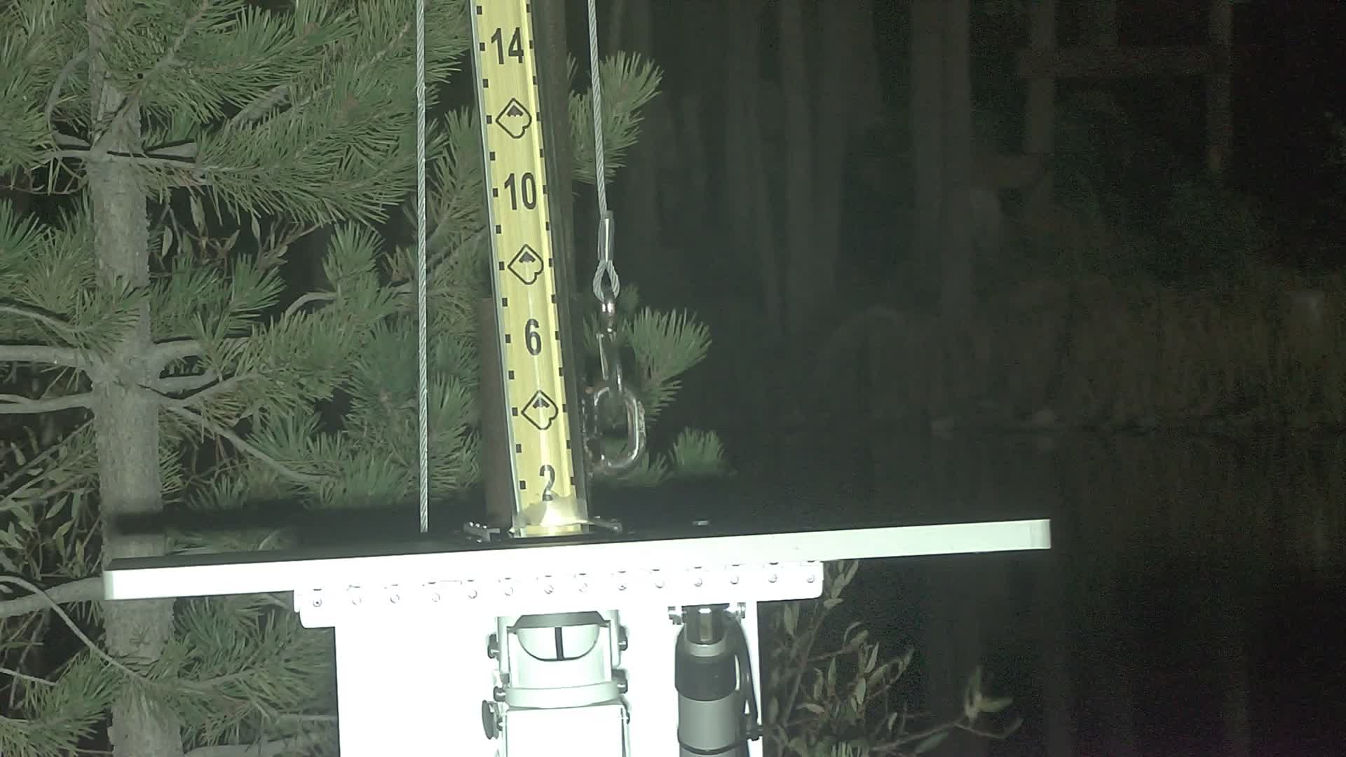 Boreal snow stake