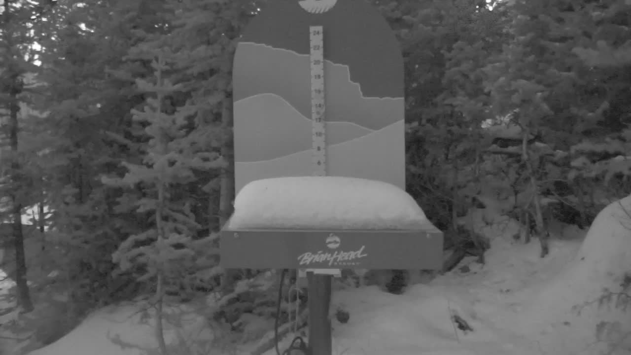 Brian Head snow stake