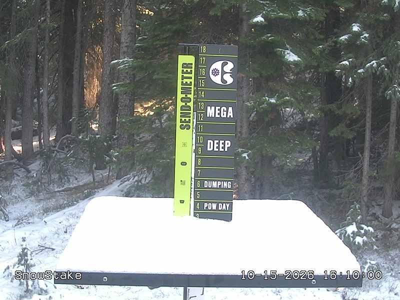 Copper snow stake