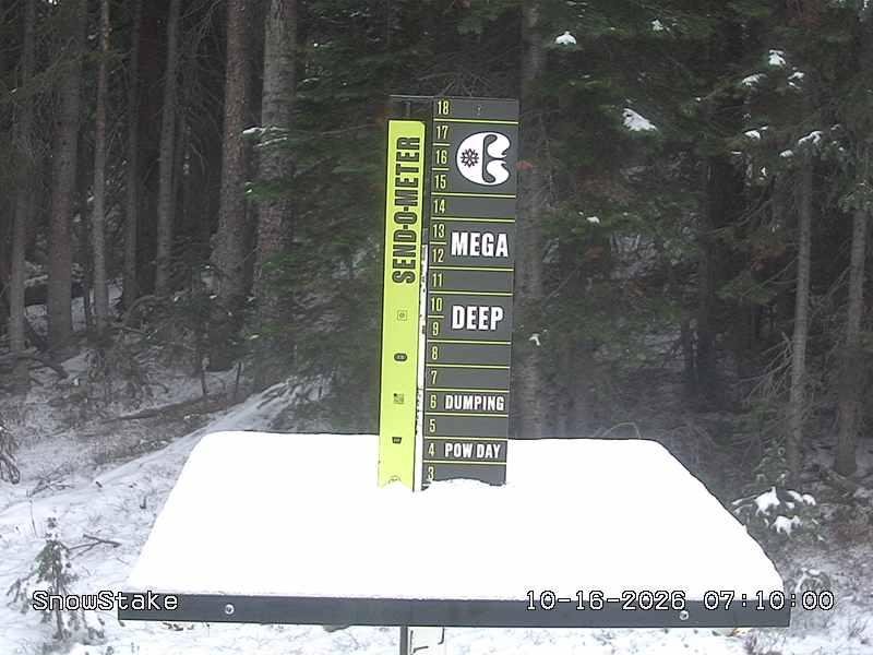 Copper snow stake