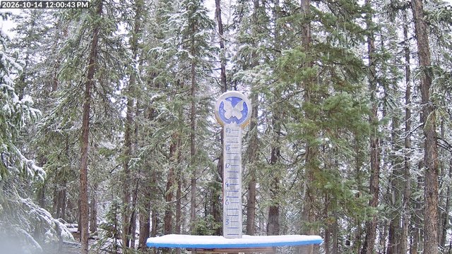 Monarch snow stake