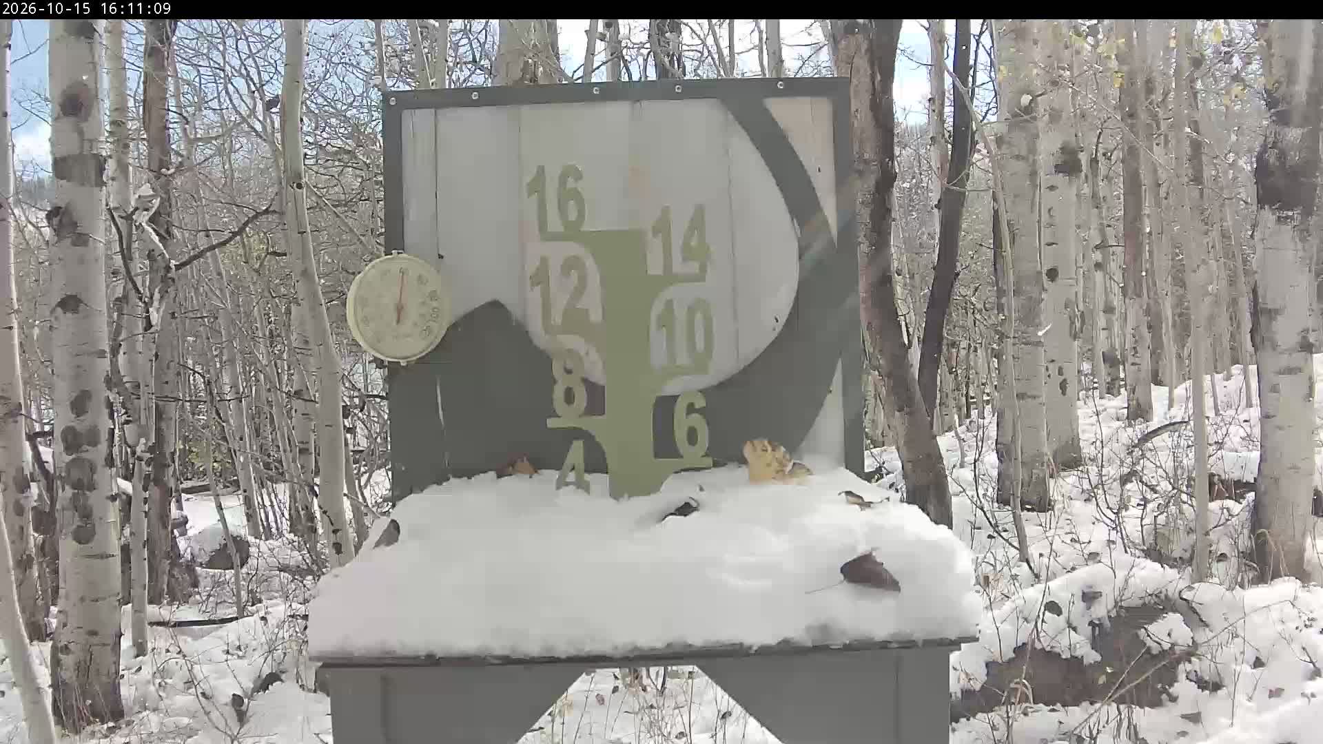 Powderhorn snow stake