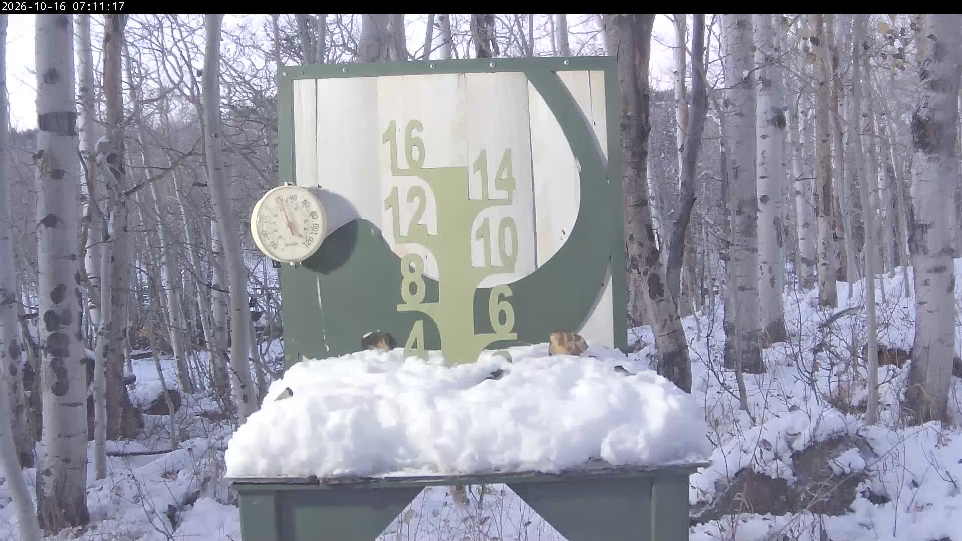 Powderhorn snow stake