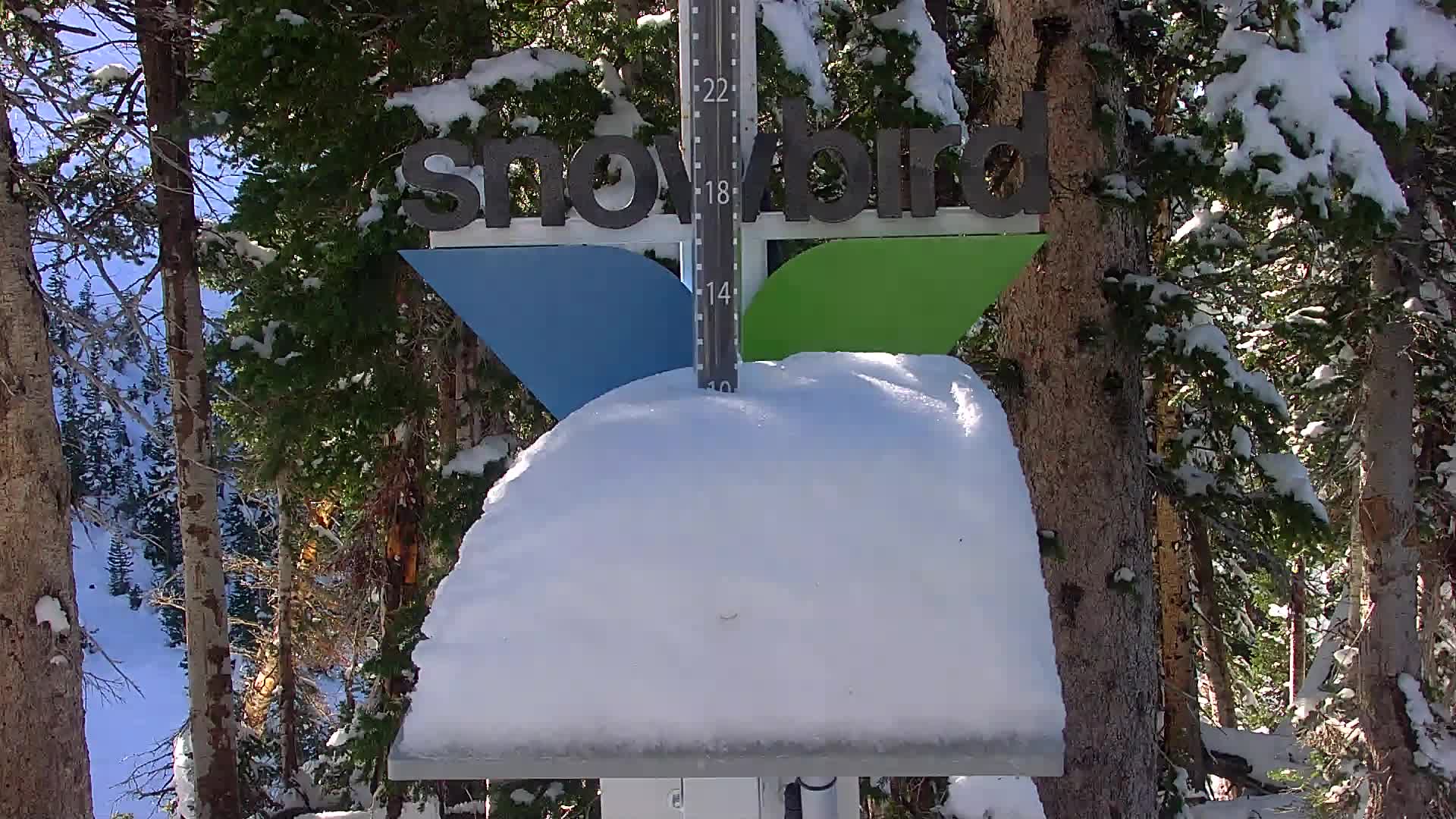 Snowbird snow stake