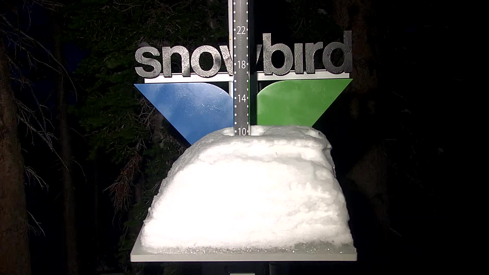 Snowbird snow stake