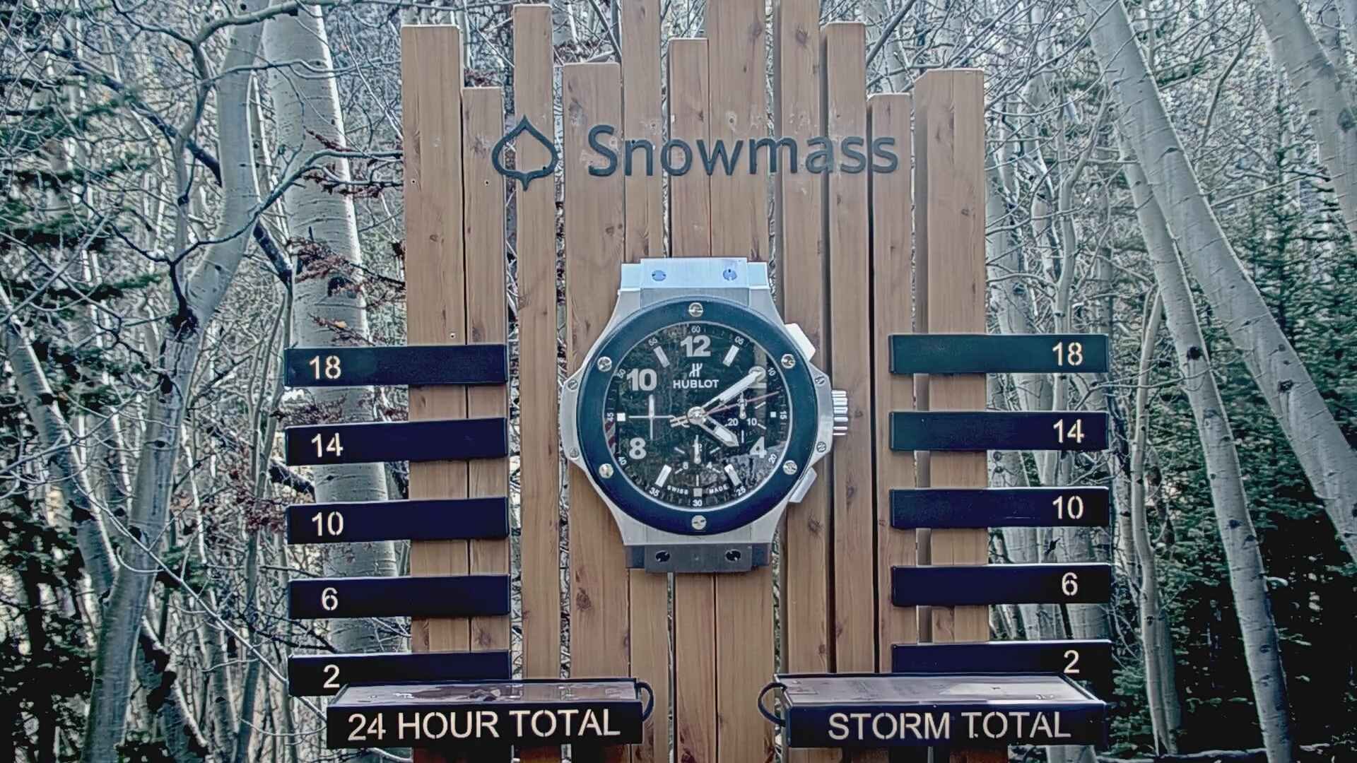 Snowmass snow stake