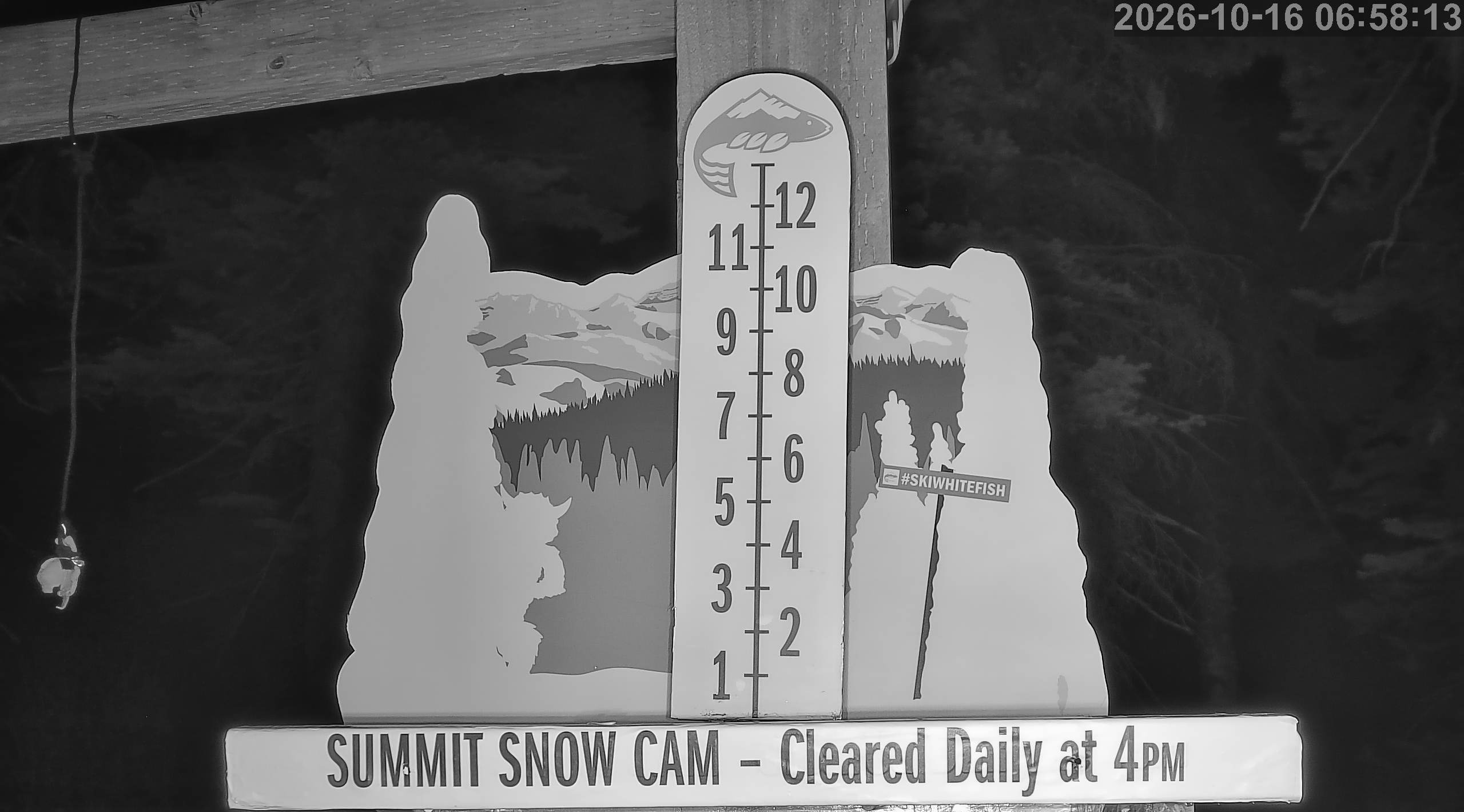 Whitefish snow stake