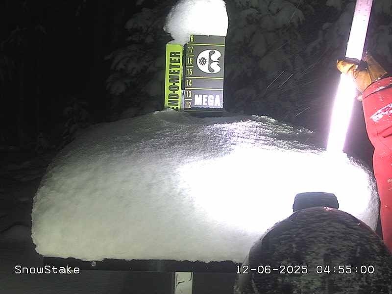 Copper snow stake, measured 12.0 inches