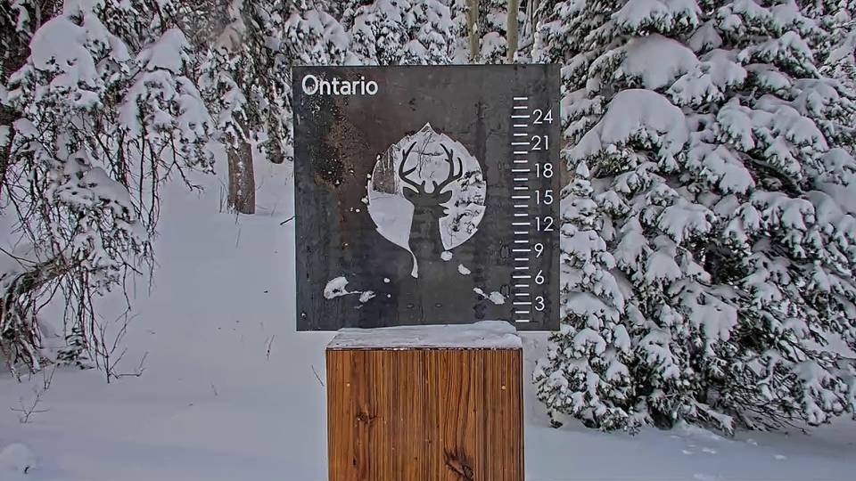 Deer Valley snow stake, measured 3.0 inches