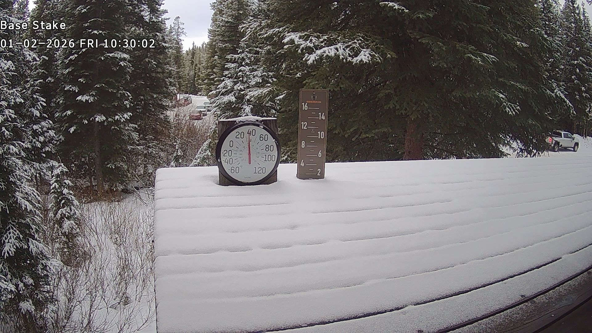 Discovery snow stake, measured 4.0 inches