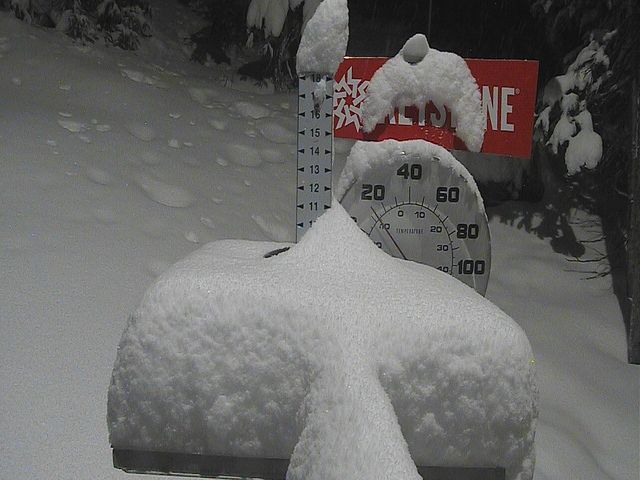 Keystone snow stake, measured 12.0 inches