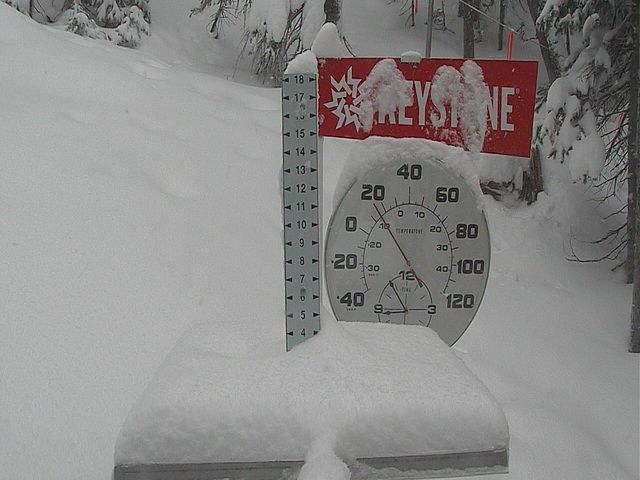 Keystone snow stake, measured 4.0 inches