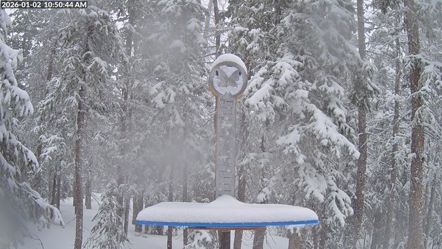 Monarch snow stake, measured 4.0 inches