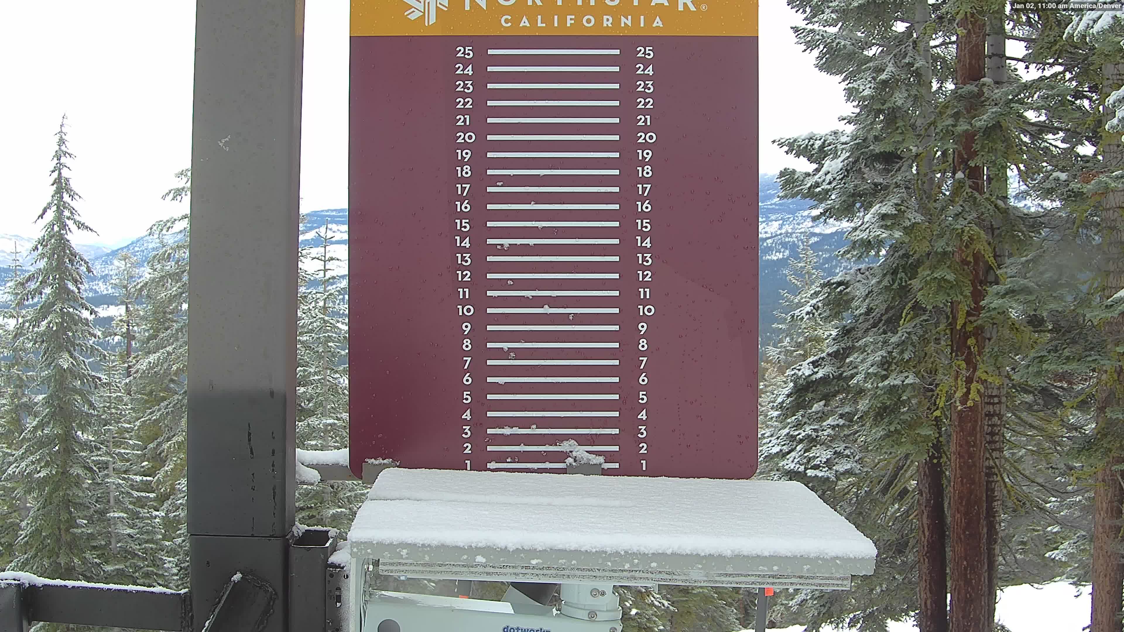 Northstar snow stake, measured 4.0 inches