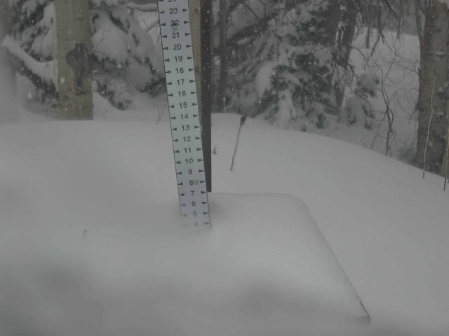 Park City snow stake, measured 4.0 inches