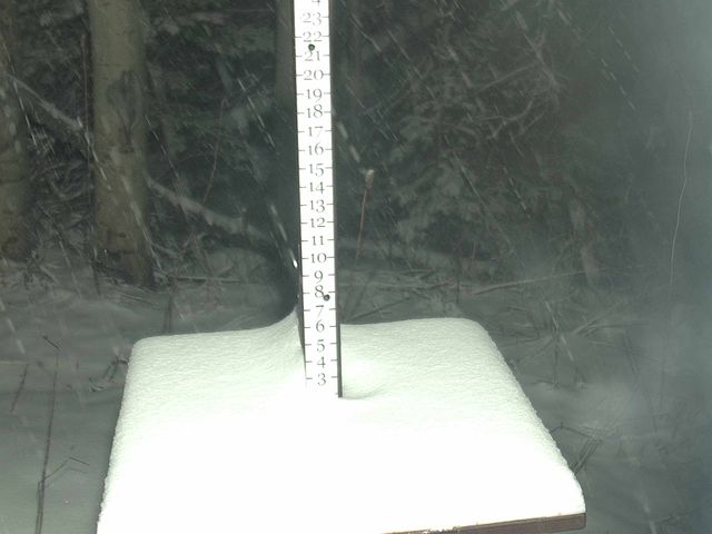 Park City snow stake, measured 8.0 inches