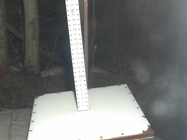 Park City snow stake, measured 0.0 inches