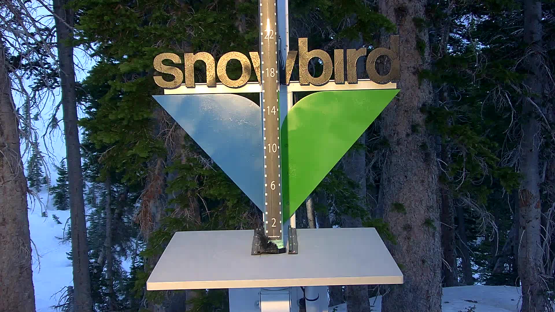 Snowbird snow stake, measured 0.0 inches