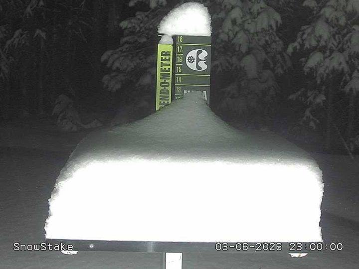 Copper snow stake during the storm